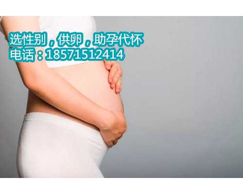 上海借卵生子私立医院,影响韶关市妇幼保健院试管婴儿成功率的4个因素